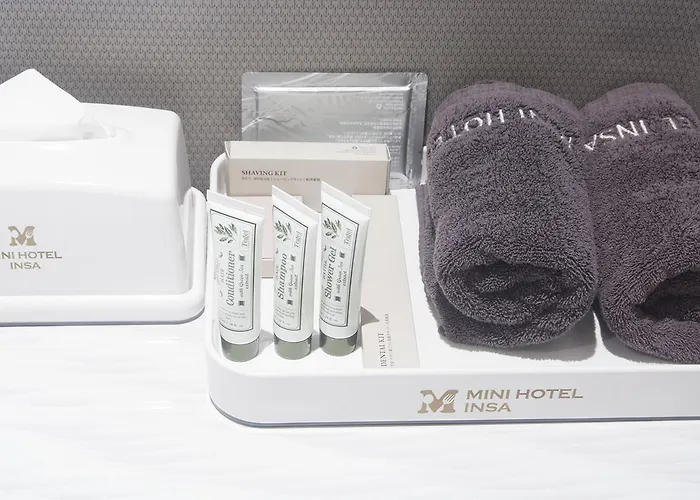 Mini Hotel Insa